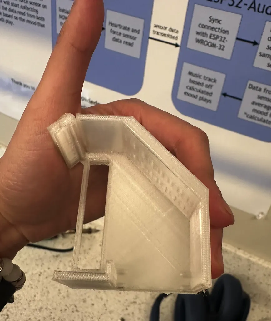 Prototype enclosure